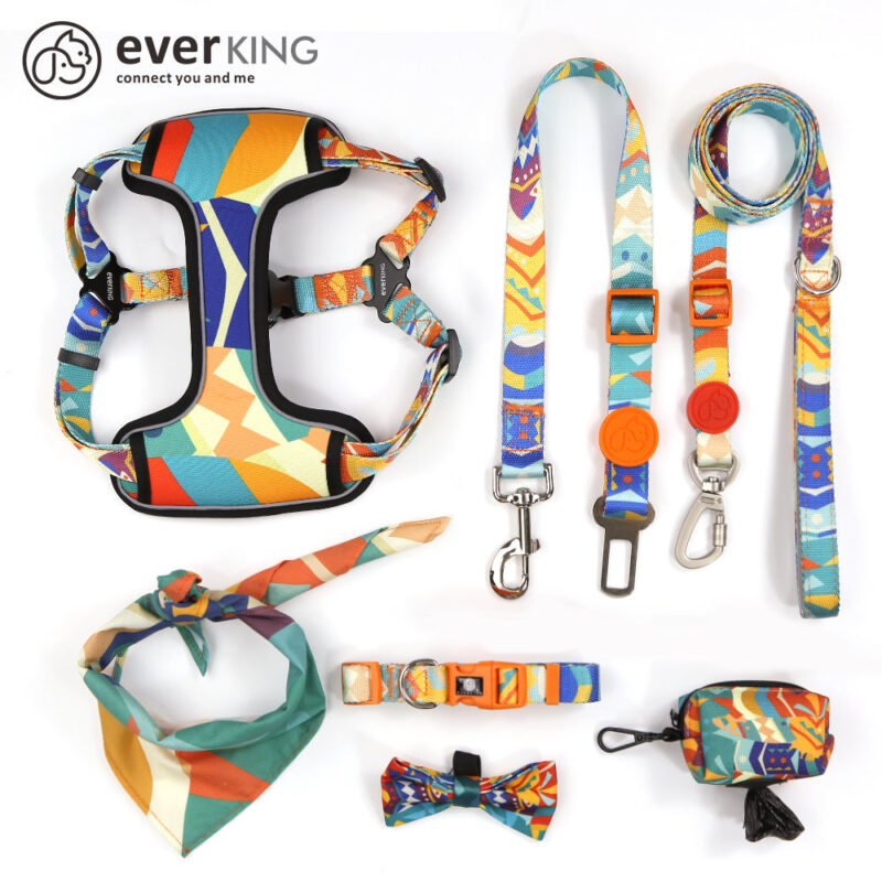 Colorful checkered dog leash collar set of 7 pieces - Image 4