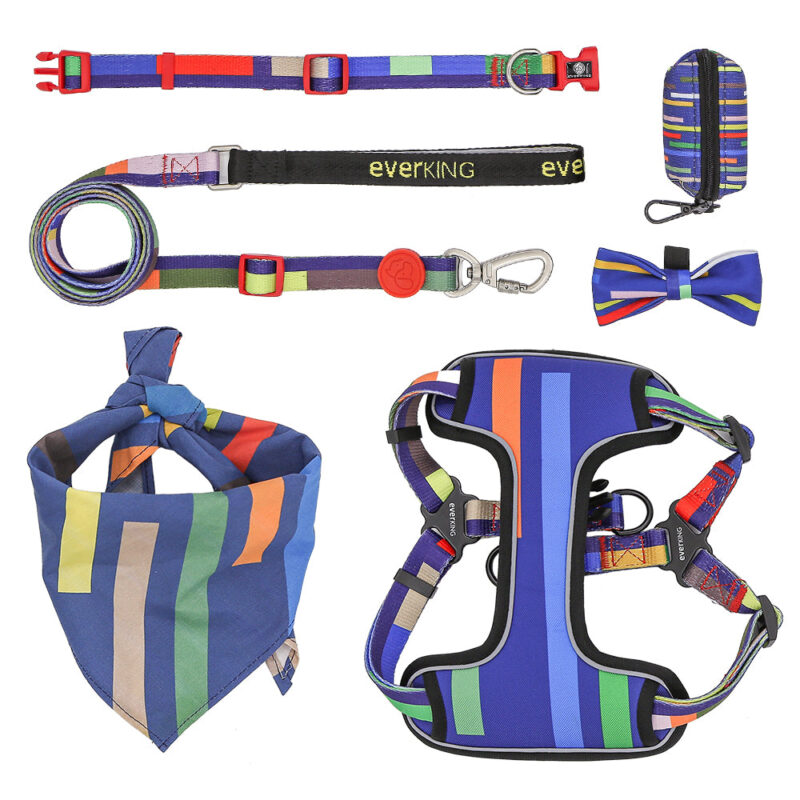 Blue striped dog leash collar set of 7 pieces