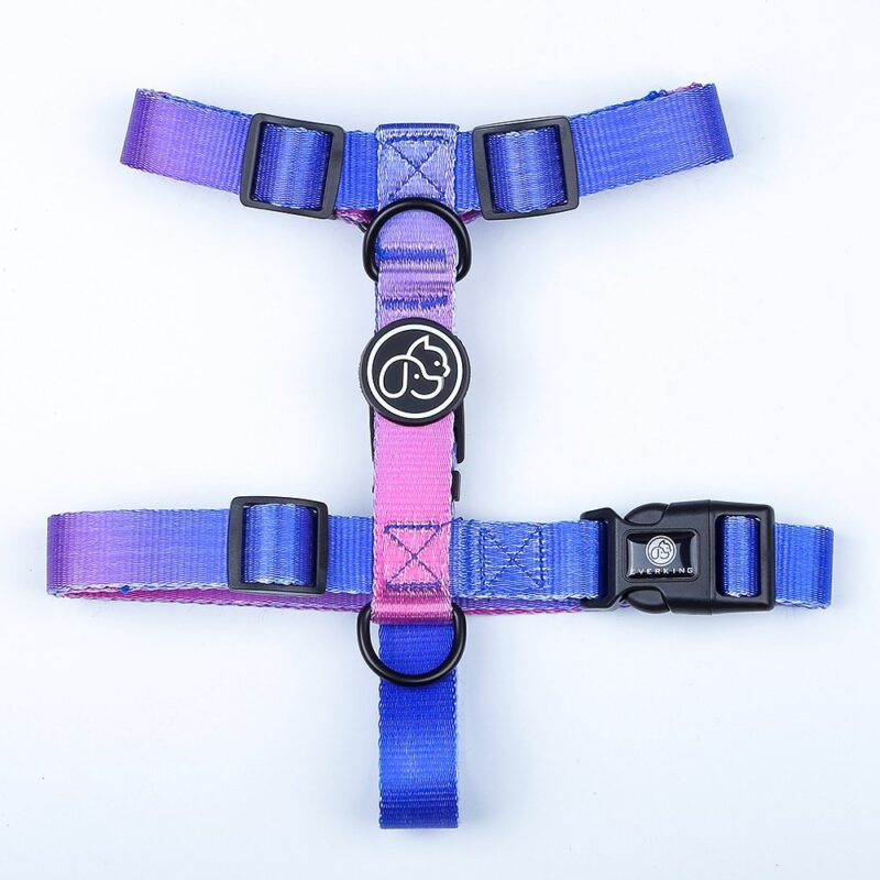 Dog Gradient Collar - Image 4