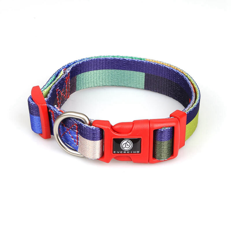 Blue striped dog leash collar set of 7 pieces - Image 2