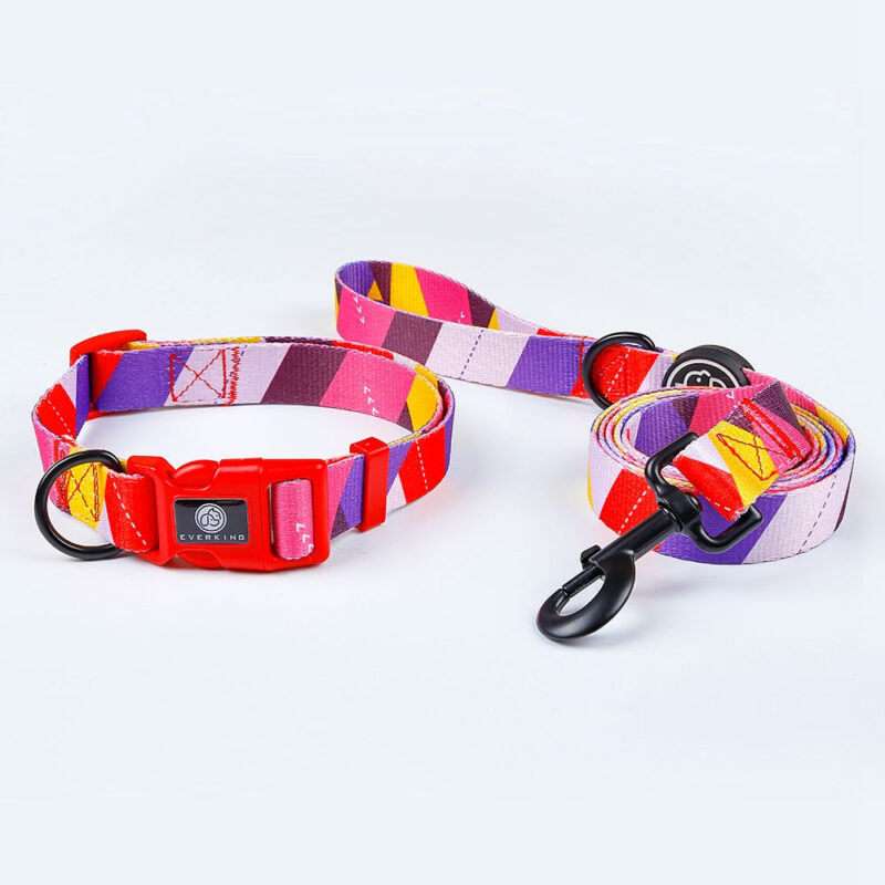 Pop dog collar traction rope - Image 20